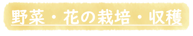 野菜、花の栽培、収穫